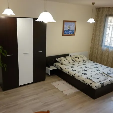 Orchid Varna